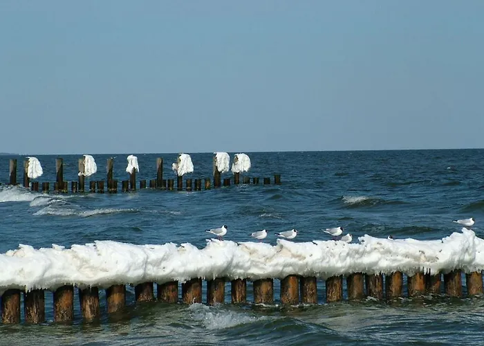 Vakantiehuis Remise *